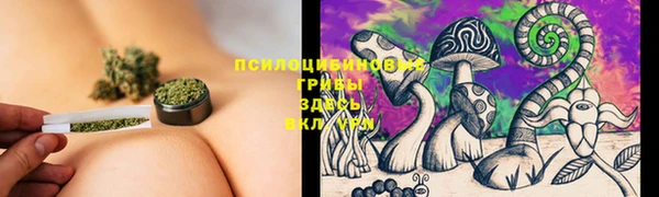 кокс Верея