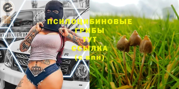прущие крисы Нязепетровск