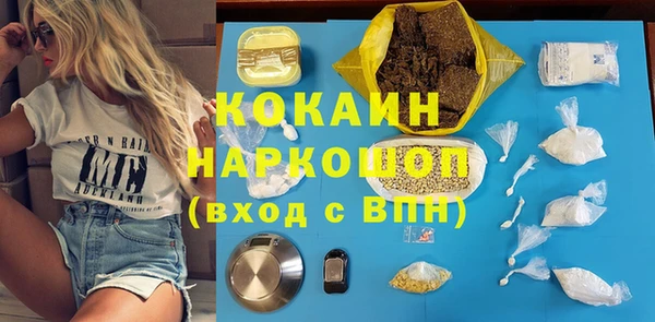 меф Няндома