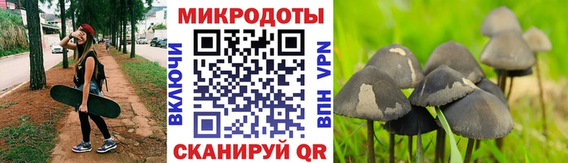 цена   Нея  Галлюциногенные грибы Magic Shrooms 